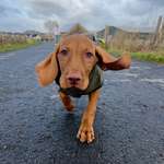 Ersteller:in Sandra Profilbild