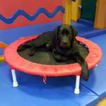 Ersteller:in Mareike Profilbild