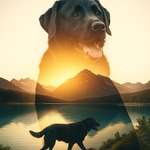 Ersteller:in Jessika Profilbild