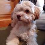 Ersteller:in Veronika Profilbild