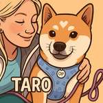 Ersteller:in Julie Profilbild