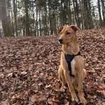 Ersteller:in Kamila Profilbild