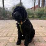 Ersteller:in Felice Profilbild