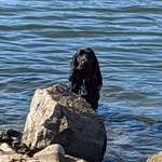 Ersteller:in Doreen Profilbild