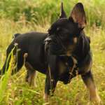 Ersteller:in Lena & Junes Profilbild