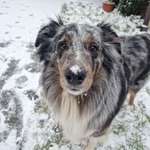 Ersteller:in Isa Profilbild