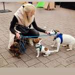 Ersteller:in Ann Kathrin Profilbild