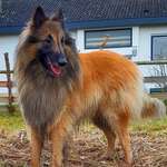 Ersteller:in Ulli Profilbild