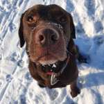 Ersteller:in F. Profilbild