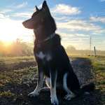 Ersteller:in Linda Profilbild