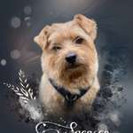 Ersteller:in Steffi Profilbild