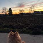 Ersteller:in Milena Profilbild