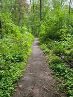 Hundeauslaufgebiet-Walderholungsgebiet in Mutterstadt-Bild