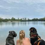 Ersteller:in Kristina Profilbild