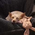 Ersteller:in Andreas Profilbild