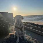 Auto ohne Klimaanlage-Beitrag-Bild