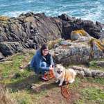 Ersteller:in Viola Profilbild