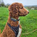 Ersteller:in Lena Profilbild