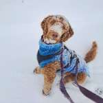 Ersteller:in Lena Profilbild