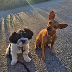 Ersteller:in Ramona Profilbild