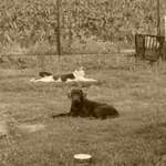 Ersteller:in Laura Profilbild