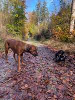 Groß oder Klein?-Beitrag-Bild