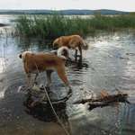 Ersteller:in Gina Profilbild