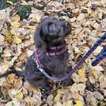 Ersteller:in Jana Profilbild