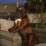 Ersteller:in Martina Profilbild