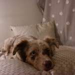 Ersteller:in Leonie Profilbild