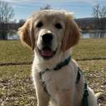 Ersteller:in Fabian Profilbild