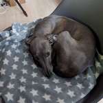 Ersteller:in Katharina Profilbild