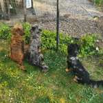 Ersteller:in Lisa Profilbild