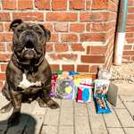 Ersteller:in Sarah Profilbild