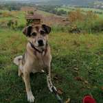 Ersteller:in Sina Profilbild