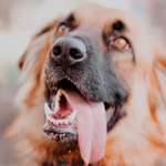 Ersteller:in Christin Profilbild