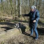 Ersteller:in NAdine Profilbild