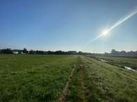 Hundeauslaufgebiet-Bruch-Bild