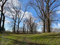 Hundeauslaufgebiet-Espenlake-Bild