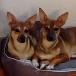 Ersteller:in Christine Profilbild