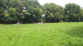 Hundeauslaufgebiet-Hundewiese Oer-erkenschwick-Bild