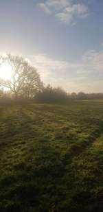 Hundeauslaufgebiet-Feldmark-Bild