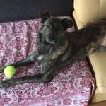 Ersteller:in Mar Profilbild