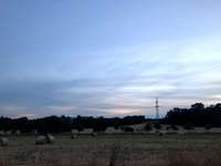 Hundeauslaufgebiet-Uni Witten Annen-Bild