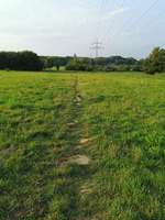 Hundeauslaufgebiet-Uni Witten Annen-Bild