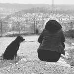 Ersteller:in Sina Profilbild