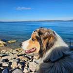 Ersteller:in Ulrike Profilbild