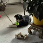 Ersteller:in Udo Profilbild