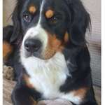 Ersteller:in Victoria Profilbild