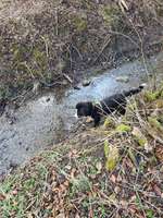 Hundeauslaufgebiet-Sinnesweg Bruckberg-Bild